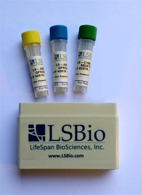 rat bdnf elisa kit